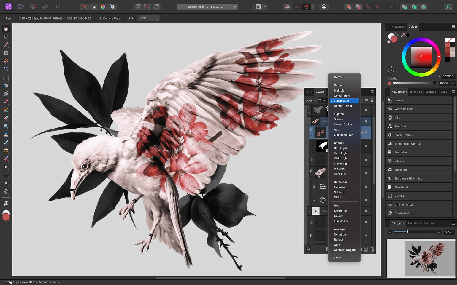 Image from Serif affinity photo